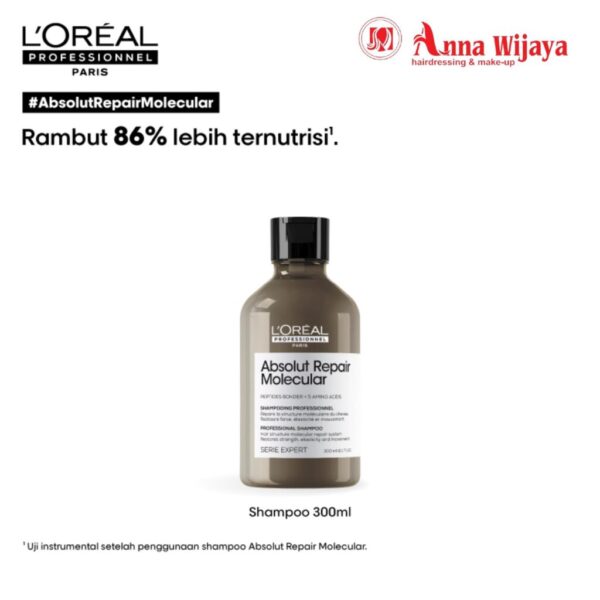 Absolut Repair Molecular Shampoo 300ml - untuk memperbaiki rambut rusak/ hair repair